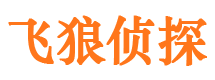 灵宝市婚姻出轨调查